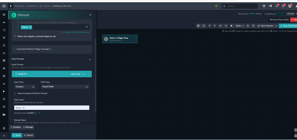 create a personalized field.png